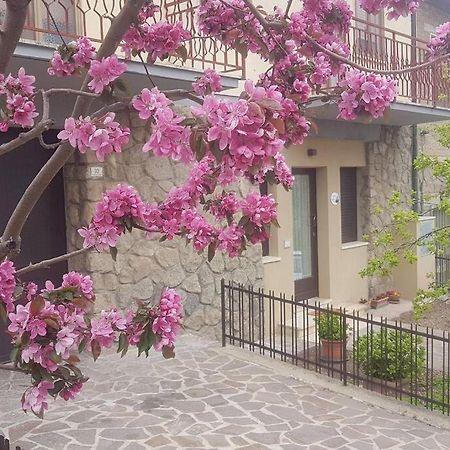 La Casina Di Nonna Giulia Apartment Castiglione dʼOrcia Екстериор снимка