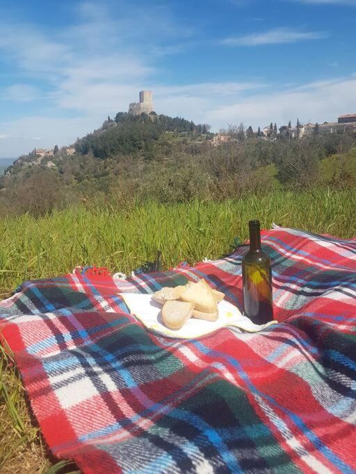 La Casina Di Nonna Giulia Apartment Castiglione dʼOrcia Екстериор снимка