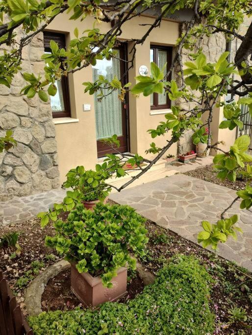 La Casina Di Nonna Giulia Apartment Castiglione dʼOrcia Екстериор снимка