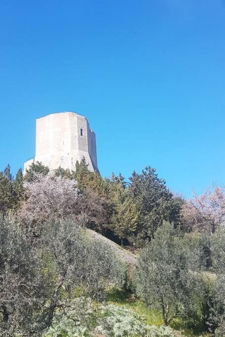 La Casina Di Nonna Giulia Apartment Castiglione dʼOrcia Екстериор снимка