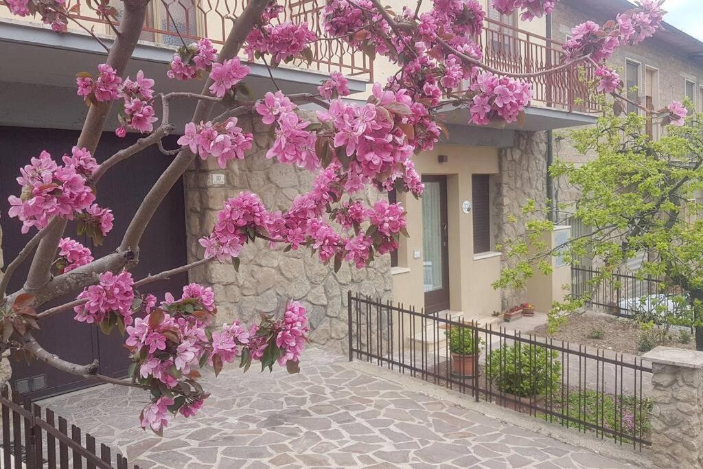 La Casina Di Nonna Giulia Apartment Castiglione dʼOrcia Екстериор снимка